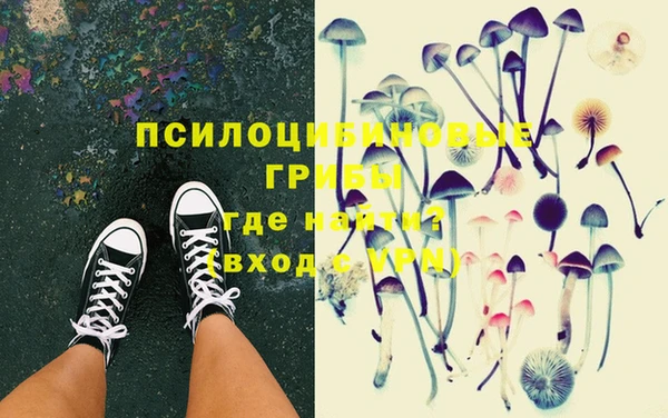 MDMA Новодвинск