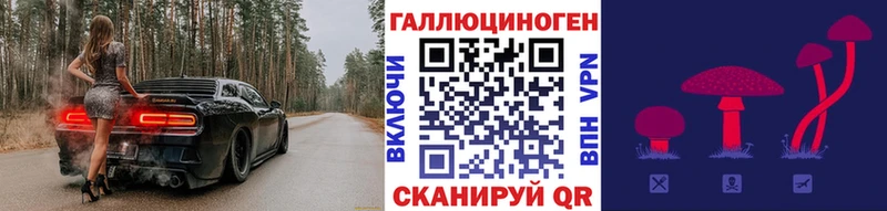 Галлюциногенные грибы Psilocybe Купить где Красноярск